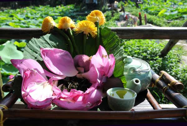 Cách là trà ủ hoa sen - Bảo Xuân